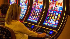 365 win bet